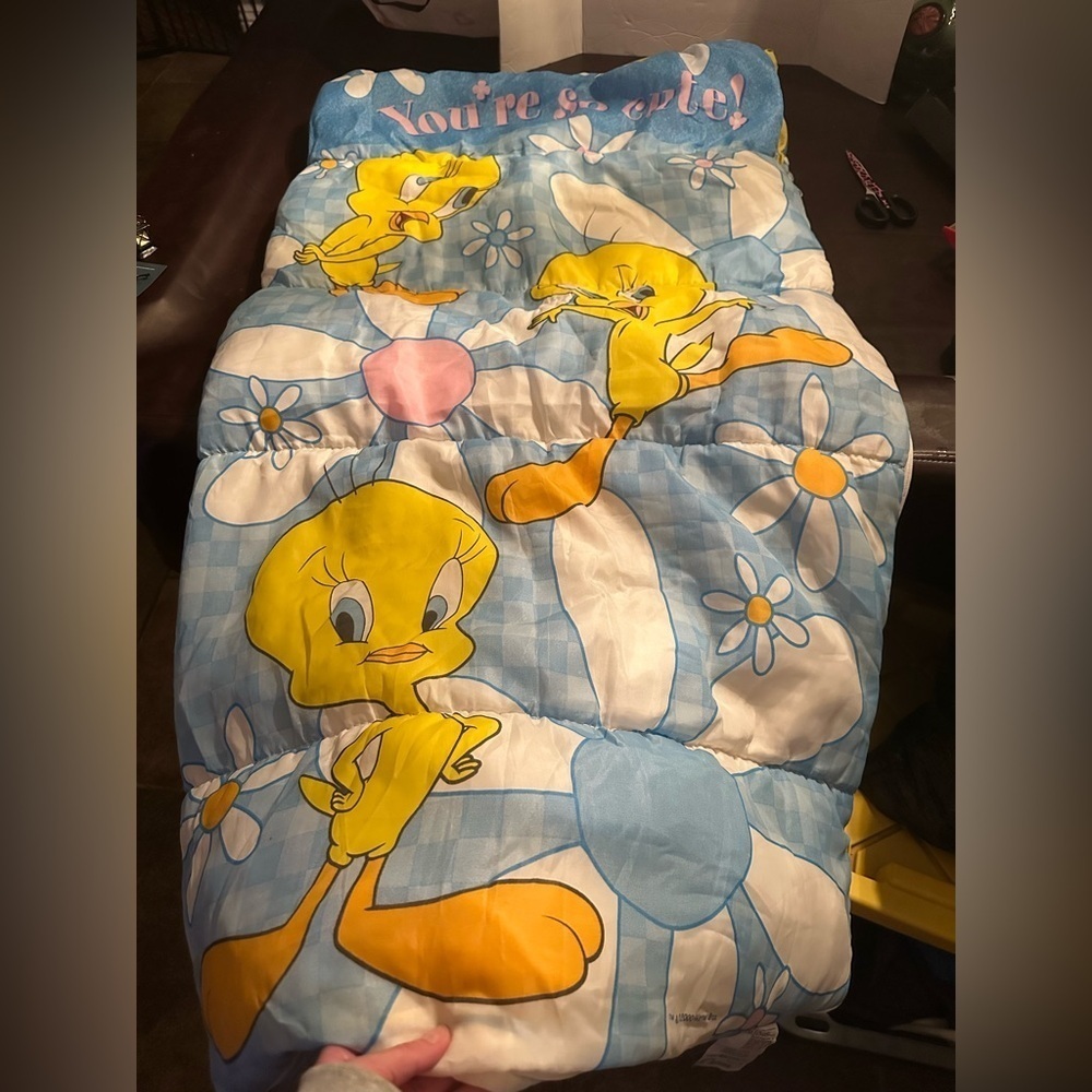 Vintage tweety sleeping bag